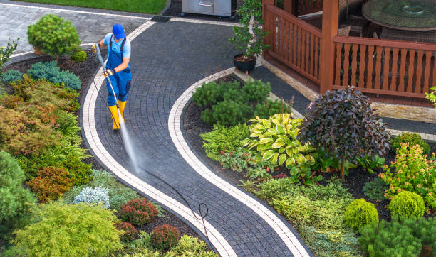 Best House Pressure Washing  in Carthage, MO