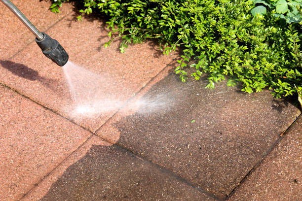 Best Affordable Pressure Washing  in Carthage, MO